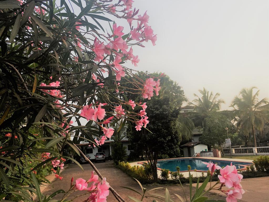 Gr Stays - Duplex 3Bhk Villa With Pool Arpora I Baga Beach 5 Mins Buitenkant foto